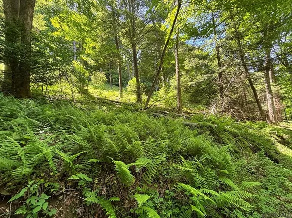 Pullim Hollow Rd, Addison, PA 15411