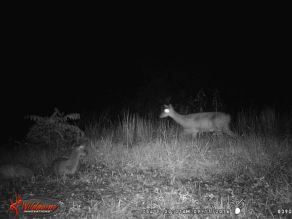 2nd image of 9610 W State Highway 3