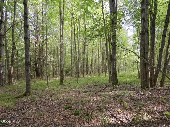 L3.21 Otte Road, Richmondville, NY 12194