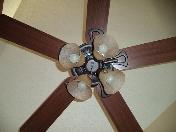 Ceiling fan/light in Living Room