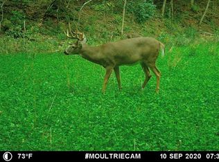 0 Maries County Rd #519, Vichy, MO 65580