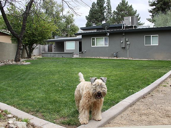 5th image of 350 E Solana Dr