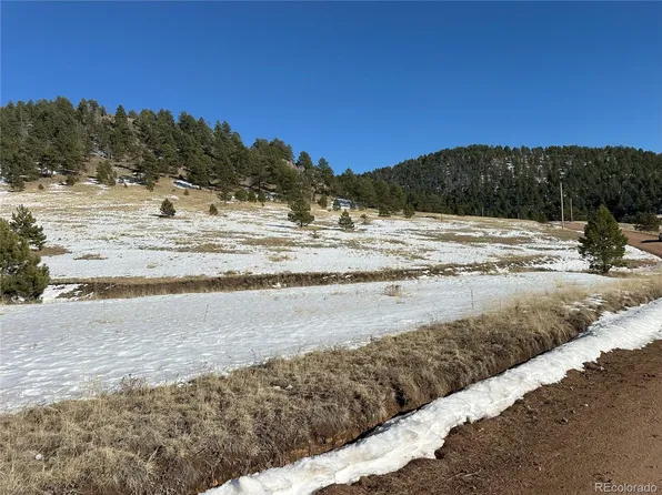 491 Penrose Circle LOT 48, Florissant, CO 80816