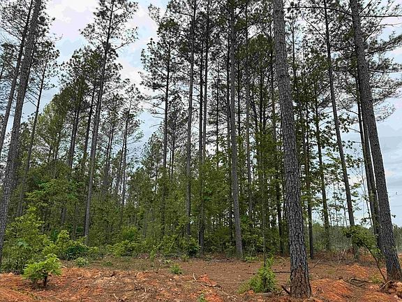 5th image of Virginia Byway Rte #6