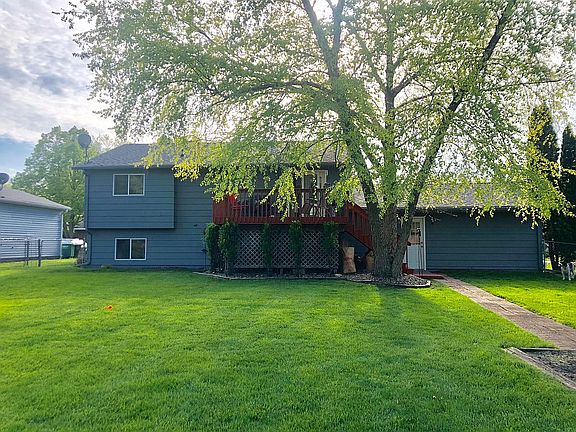 Back yard