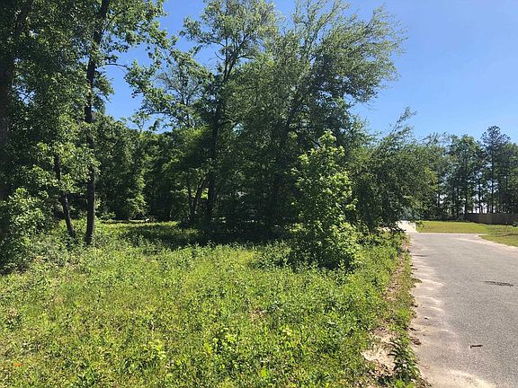 2nd image of Vacant Pine Cone Dr