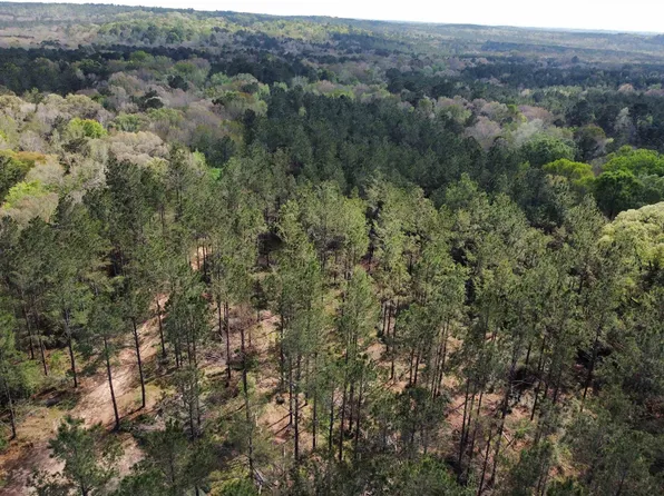 Fm 138, Center, TX 75935