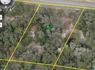 LOT 3 Cornerstone Dr LOT 3, Webster, FL 33597