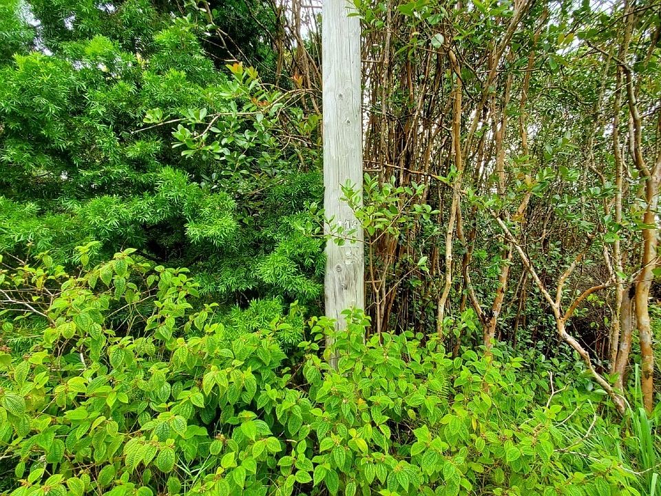 1st image of Plumeria St Lot 6461