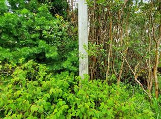 Plumeria St LOT 6461, Mountain View, HI 96771
