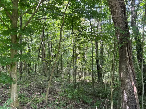 0 Cadogan Slate Lick Rd, Kittanning, PA 16201