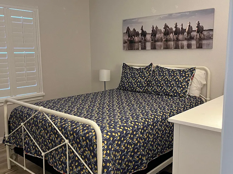 Second Bedroom -queen bed and small desk