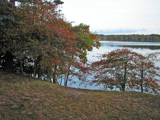 2nd image of 23 Circuit Rd