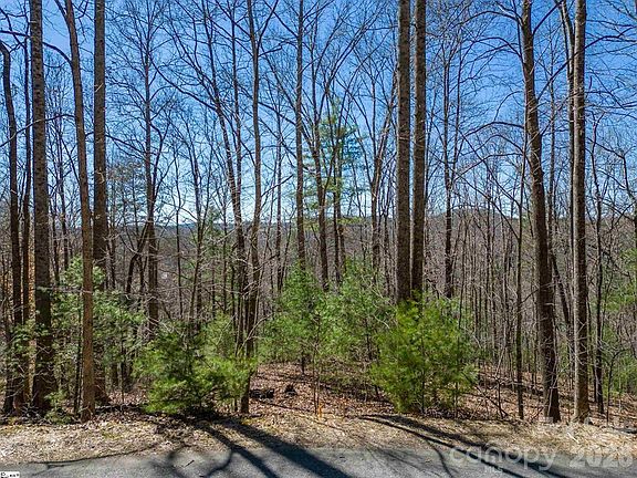 2nd image of 132 Overlook Park Dr #51