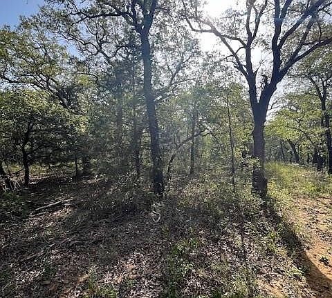 5th image of 657 Sandy Creek Rd
