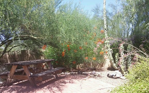 Beautiful, spacious backyard