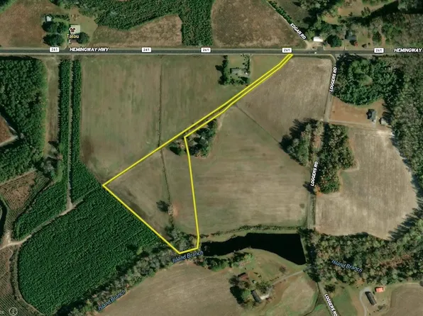 Hemingway Hwy Lot Wp008, Hemingway, SC 29554