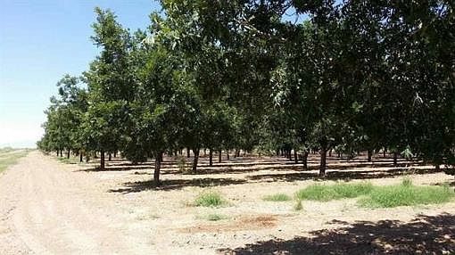 2nd image of 229 Pecos Rd