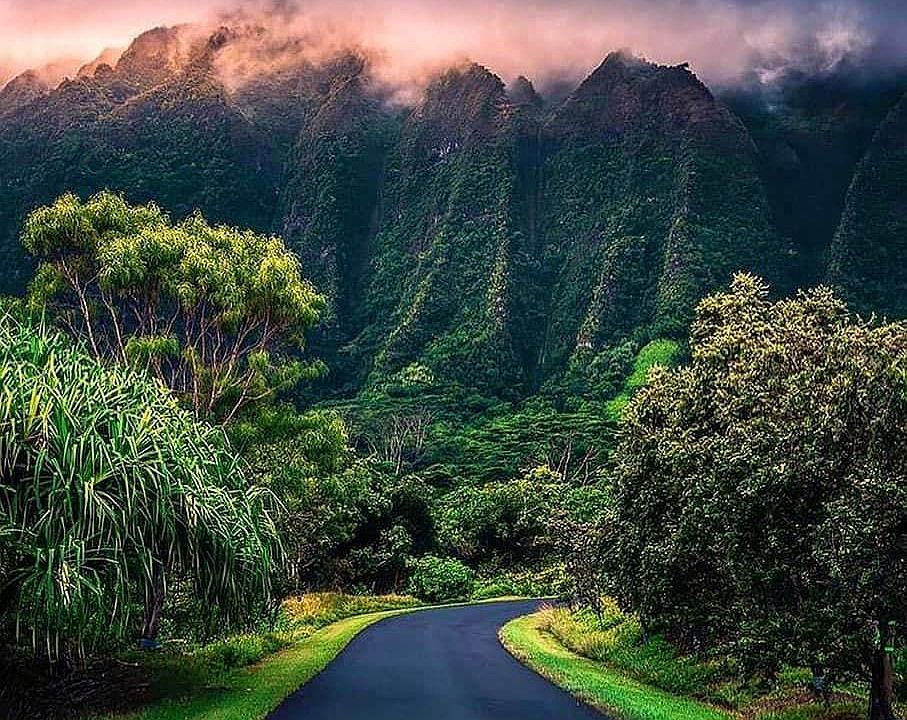 Entrance road into Ho'omaluhia Botanical Gardens.