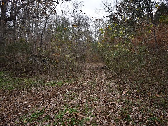 4th image of 0 Depriest Bend Dr