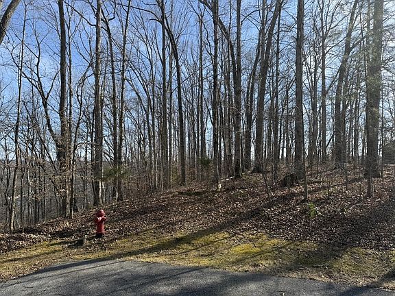 4th image of 0 Mountain Harbor Dr Lot 13