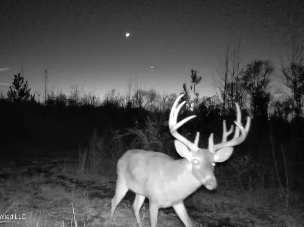 0 River Bend Rd, Lena, MS 39094