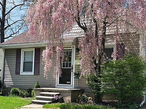 2nd image of 4053 Ellwood Ave
