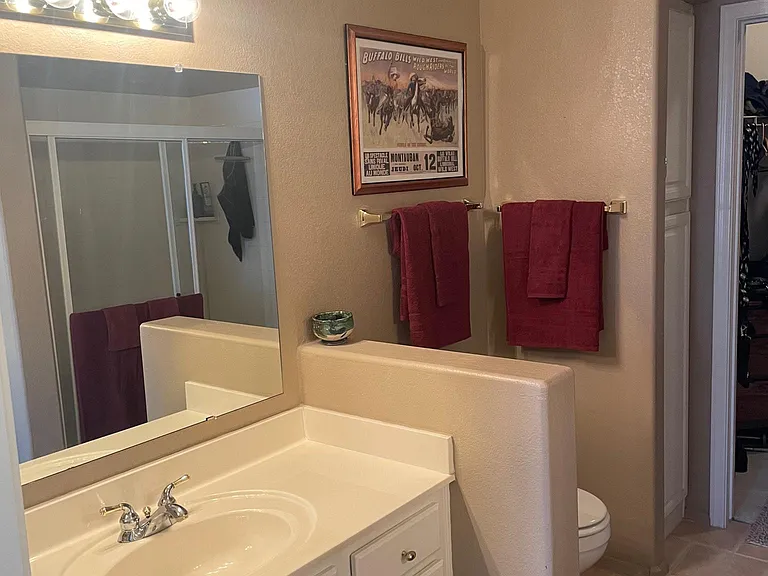 master bathroom with 2 sinks, shower, walk in closet