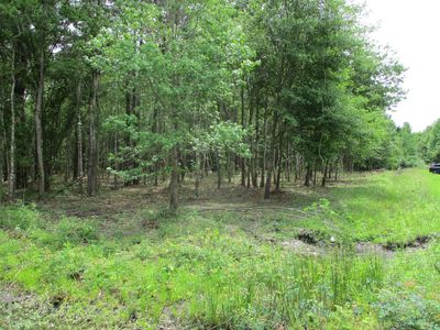 0 Swallowfork Ave, Callahan, FL, 32011