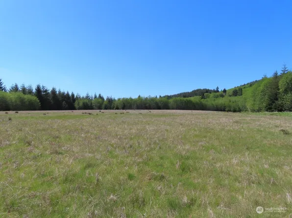 0 XXX Wynooche-Wishkah Road, Montesano, WA 98563