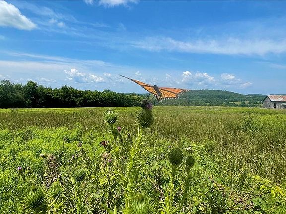 2nd image of Beechwoods Road