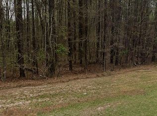 Klopfer Rd, Juliette, GA 31046