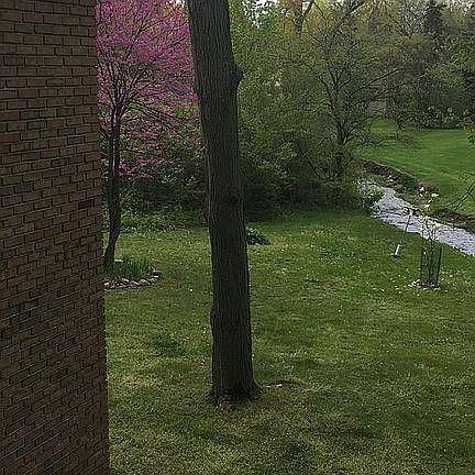 5th image of 1915 Stonycroft Ln