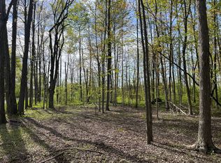 Vl N Division St, Collins, NY 14034