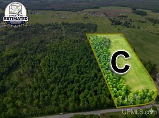 River J.5 Ln Parcel C, Cornell, MI 49818