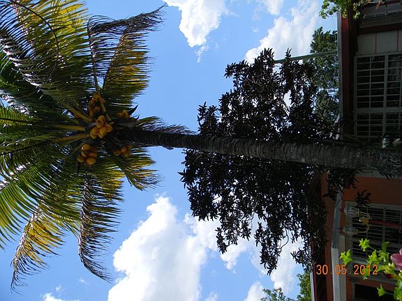 3rd image of 13035 NW 10th Ave