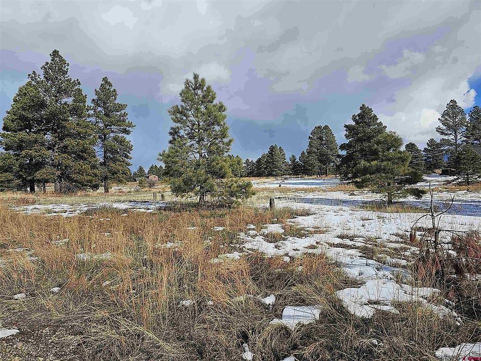 2nd image of 335 Domicile Circle