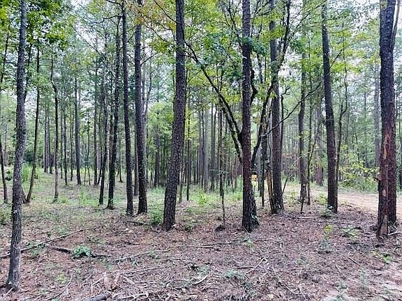 4th image of County Road 255