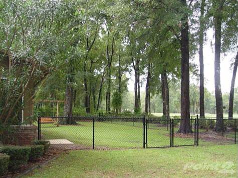 4th image of 2809 Magnolia Blossom Ln
