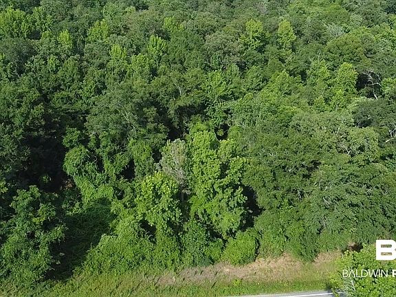 5th image of 17000 Highway 41