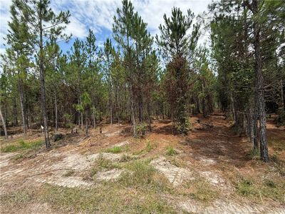 0 Corbitt Rd, Manor, GA, 31550