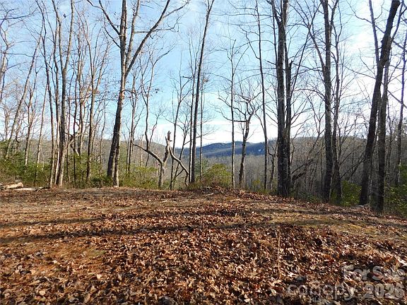 3rd image of 154 Laurel Thicket #98