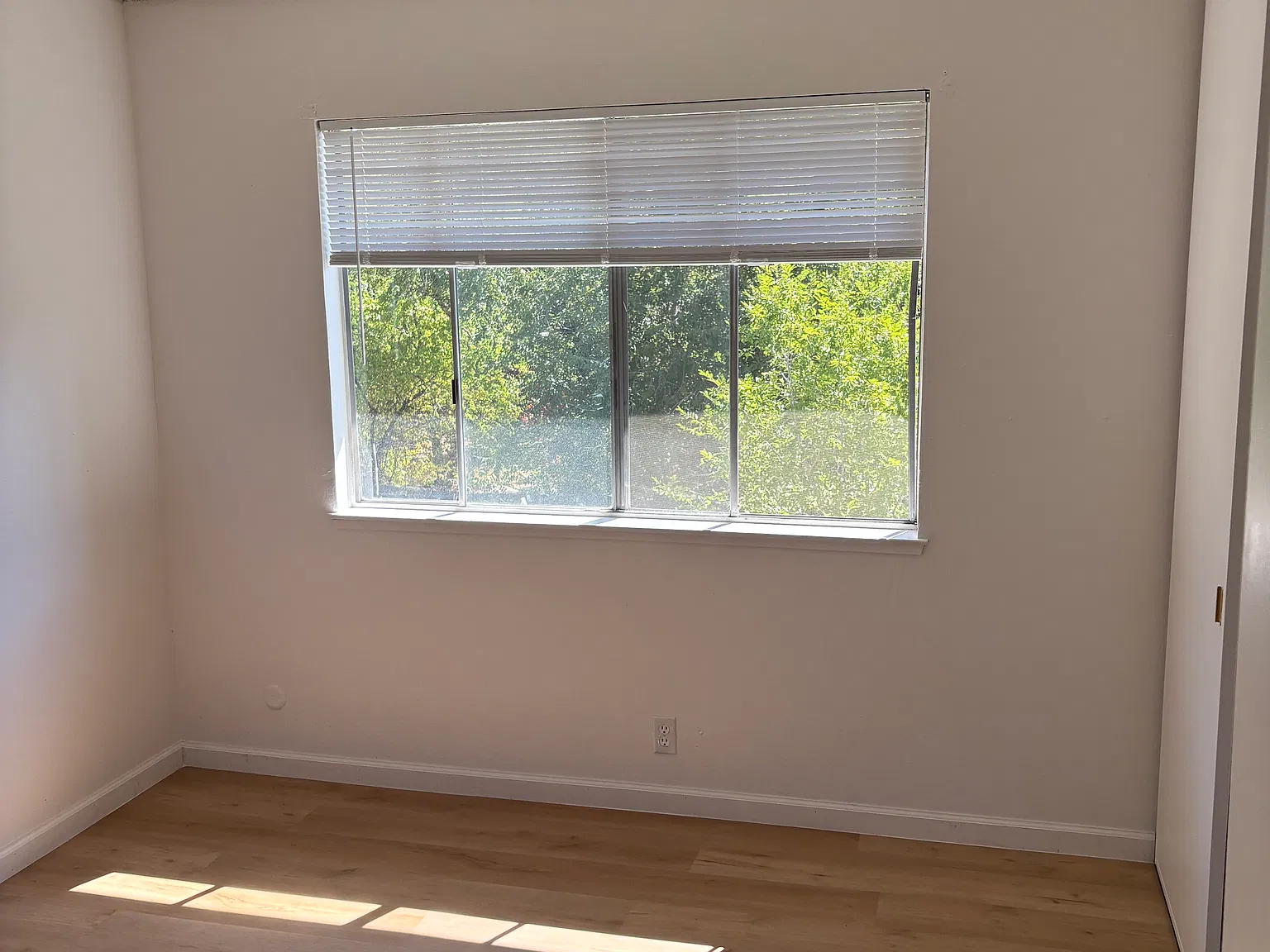 3 bed, 775 sqft, $3,100 — Photo 4