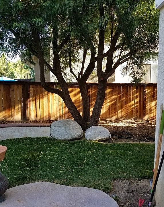 2nd image of 26524 Isabella Pkwy