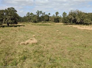 Schontag Rd, Wauchula, FL 33873