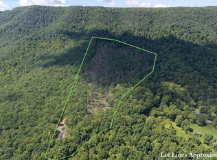 Honey Hollow Rd, Lexington, VA 24450