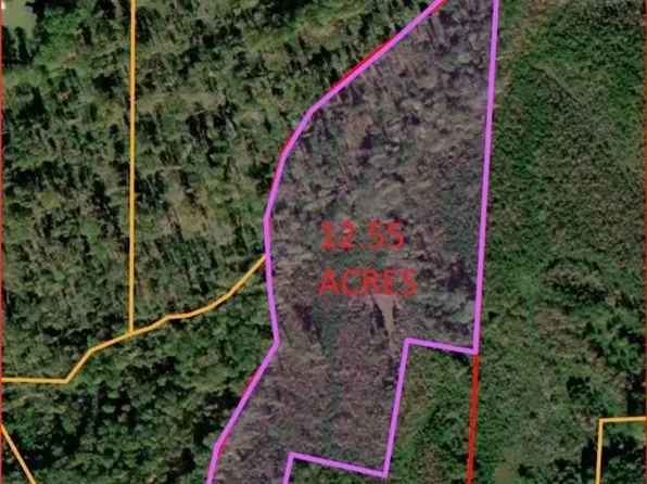 16173 Jefferson Hwy Lot 1, Bumpass, VA 23024