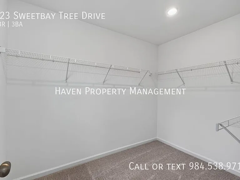 323 Sweetbay Tree Dr — Photo 18