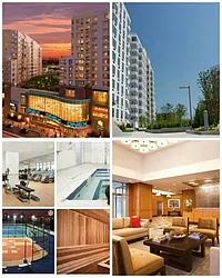 Rented by Livin USA LLC