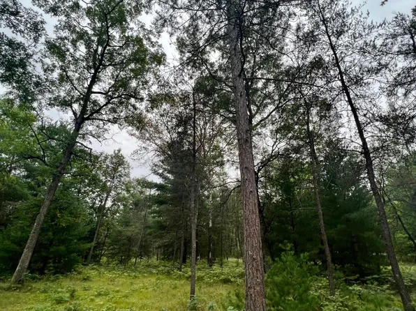 3268 S Merrillville Rd, Baldwin, MI 49304